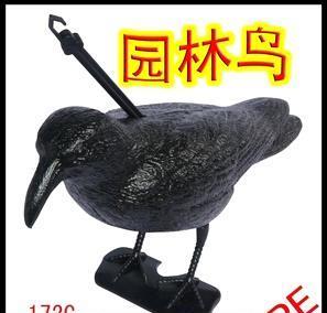 羽翼下的匠心 全球鸟类相关产品全景指南